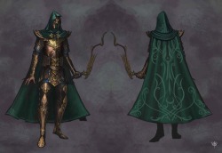 High elf - Shadow warriors / Sisters of Avelorn : r/WarhammerInstructions